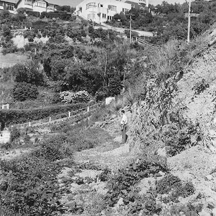 e. An area of undeveloped land being surveyed for housing development