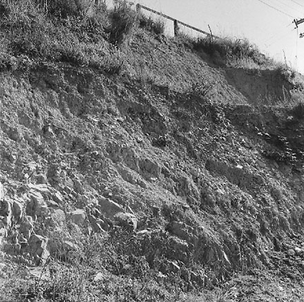 f. An area of undeveloped land being surveyed for housing development