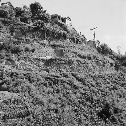 g. An area of undeveloped land being surveyed for housing development