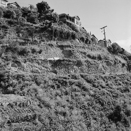 h. An area of undeveloped land being surveyed for housing development