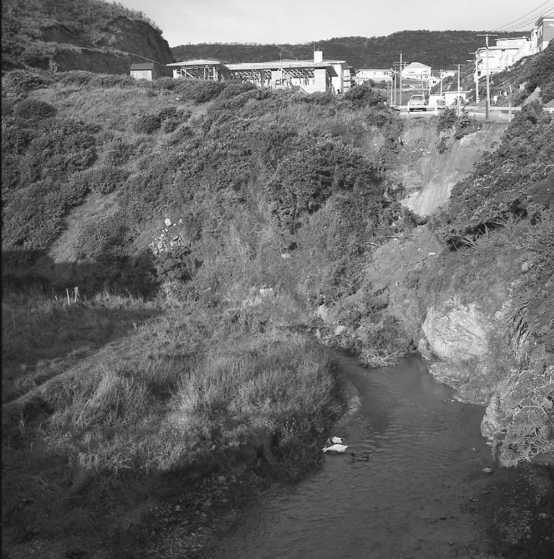 a. Robertson St