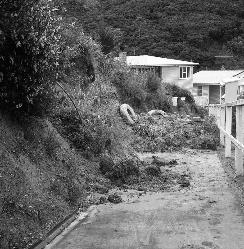 b. No 135 Miramar North Road