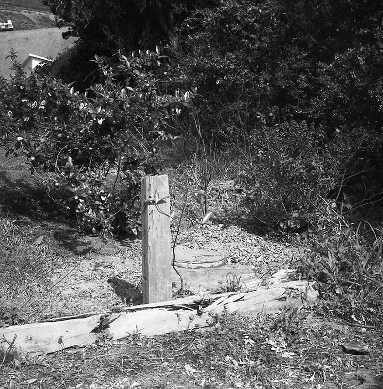 d. Severn St. Kellsmere Avenue