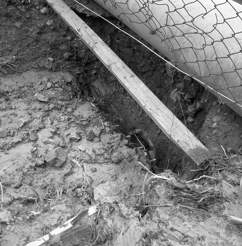 e. Severn St. Kellsmere Avenue