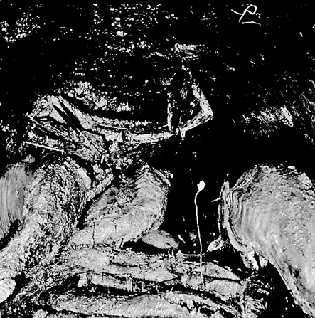 a. Views of interior of shaft and tunnel