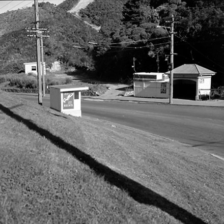 a. Dog Dosing Sites, Mysore St, Aro St, Wakefield Gully
