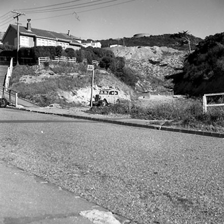 b. Dog Dosing Sites, Mysore St, Aro St, Wakefield Gully