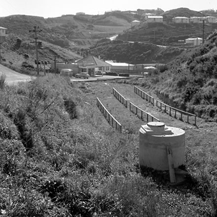 c. Dog Dosing Sites, Mysore St, Aro St, Wakefield Gully