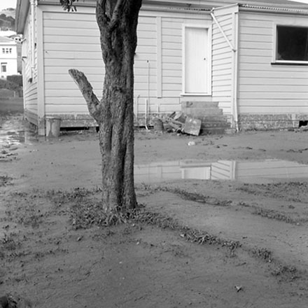 c. Storm damage, Ridgeway subdivision