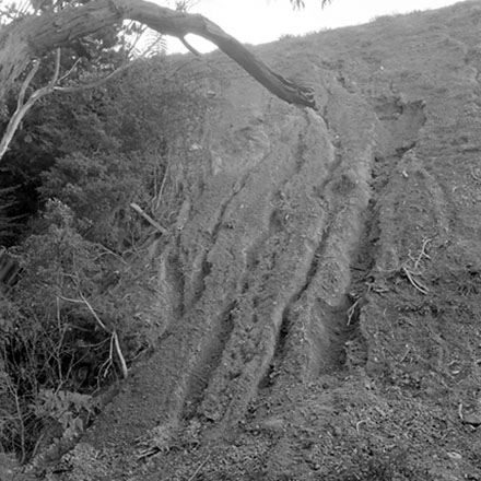 e. Storm damage, Ridgeway subdivision