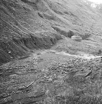 f. Storm damage, Ridgeway subdivision