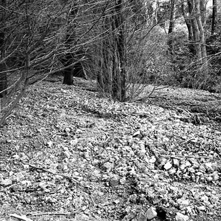 g. Storm damage, Ridgeway subdivision