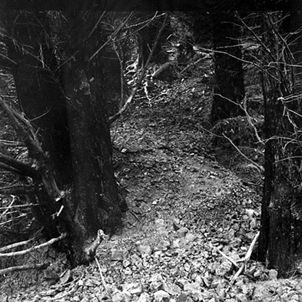 h. Storm damage, Ridgeway subdivision