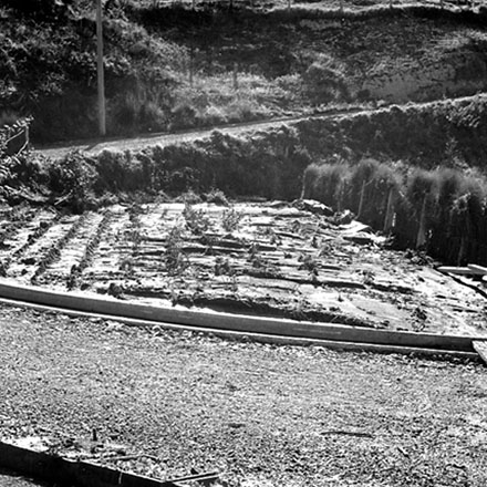 i. Storm damage, Ridgeway subdivision