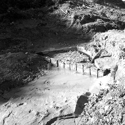 m. Storm damage, Ridgeway subdivision