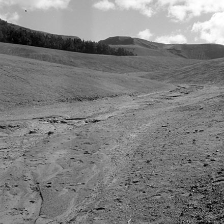 o. Storm damage, Ridgeway subdivision