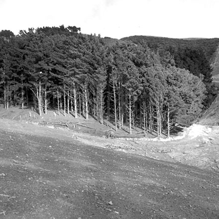 b. Storm damage, Ridgeway subdivision