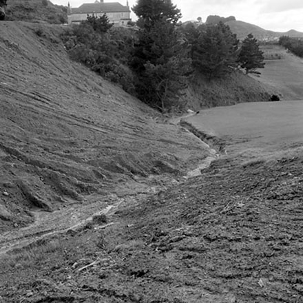 g. Storm damage, Ridgeway subdivision
