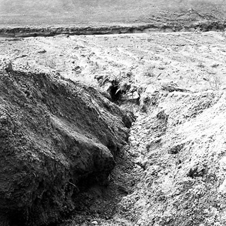 k. Storm damage, Ridgeway subdivision