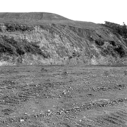 l. Storm damage, Ridgeway subdivision