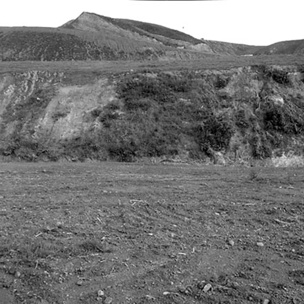 m. Storm damage, Ridgeway subdivision