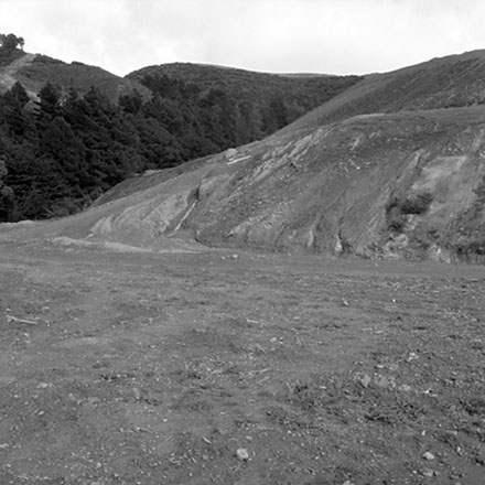 n. Storm damage, Ridgeway subdivision