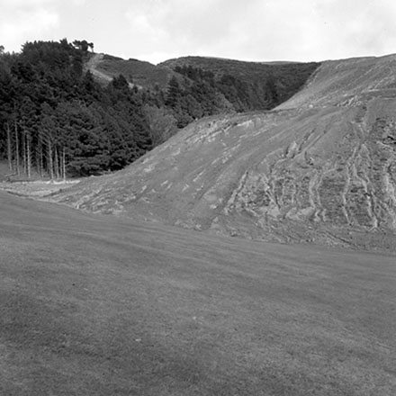 q. Storm damage, Ridgeway subdivision