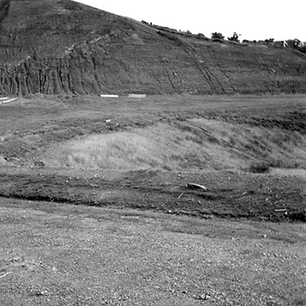 s. Storm damage, Ridgeway subdivision