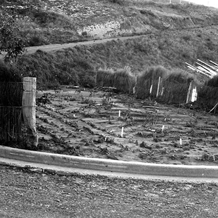 b. Storm damage, Ridgeway subdivision
