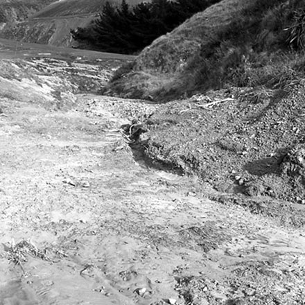 d. Storm damage, Ridgeway subdivision