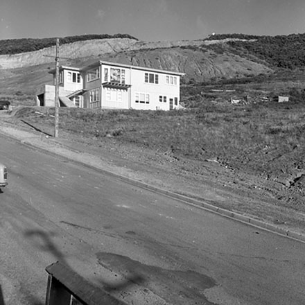 f. Storm damage, Ridgeway subdivision