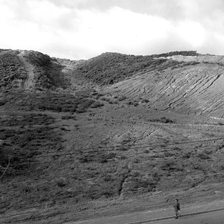 i. Storm damage, Ridgeway subdivision