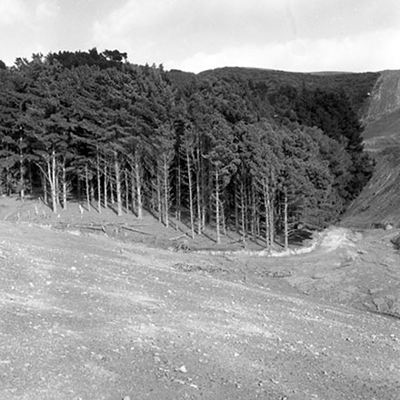 k. Storm damage, Ridgeway subdivision