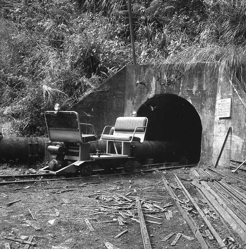 b. Jigger, Orongorongo