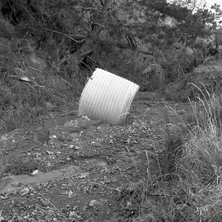 b. Storm damage, Ridgeway subdivision