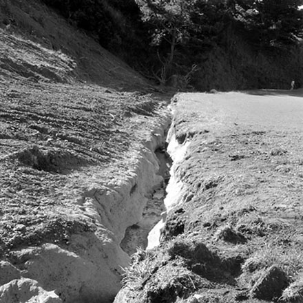 c. Storm damage, Ridgeway subdivision