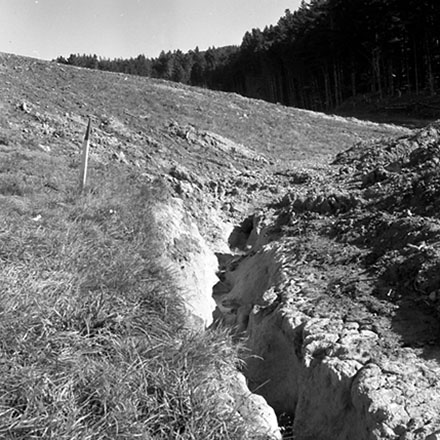 d. Storm damage, Ridgeway subdivision