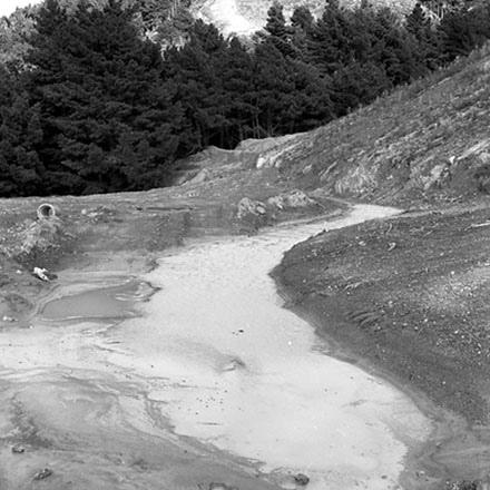 f. Storm damage, Ridgeway subdivision