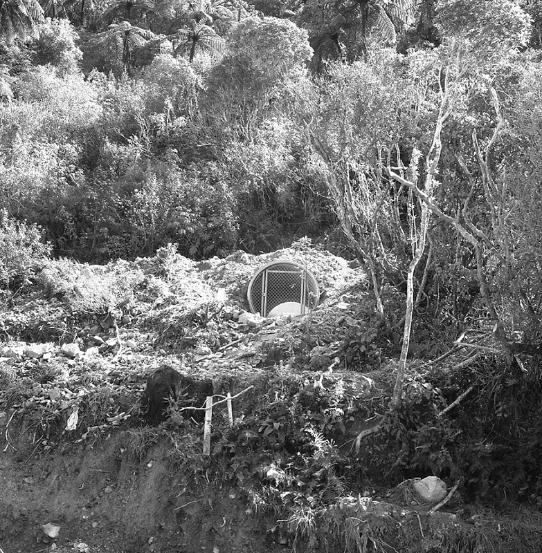 f. Waterworks, Wainui