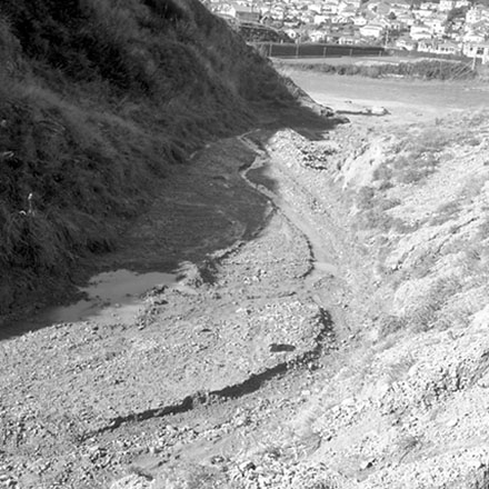 h. Storm damage, Ridgeway subdivision