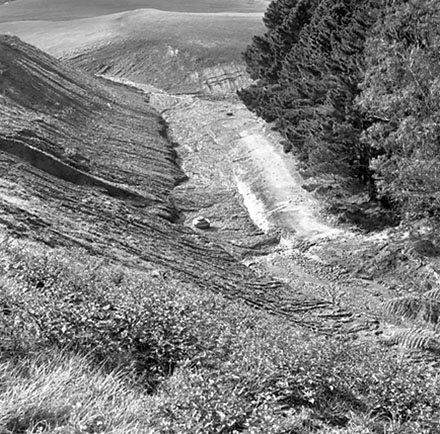 i. Storm damage, Ridgeway subdivision