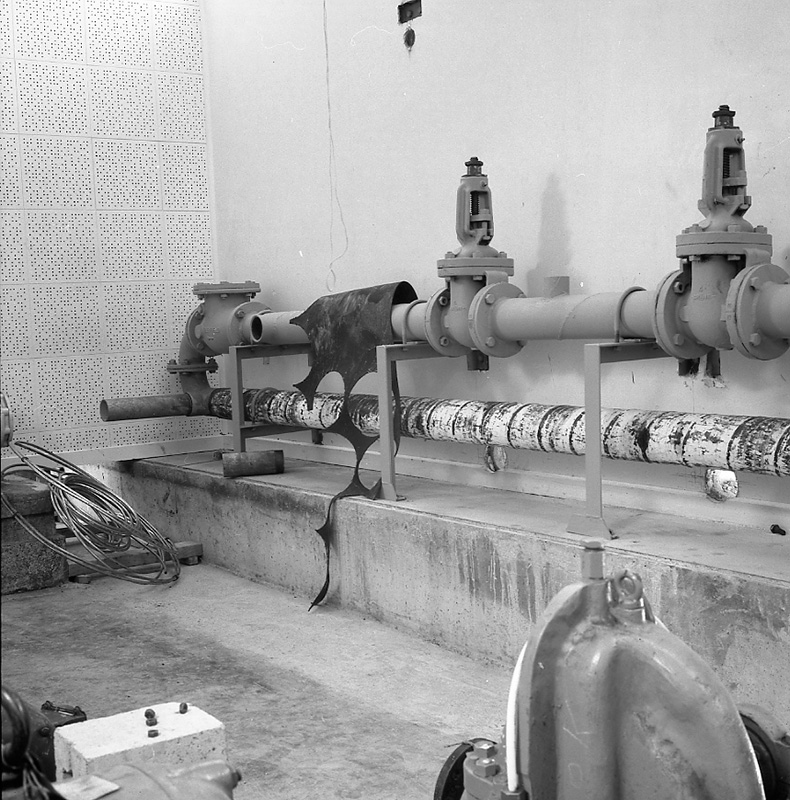 g. Waterworks, Wainui