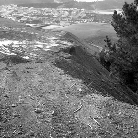 j. Storm damage, Ridgeway subdivision