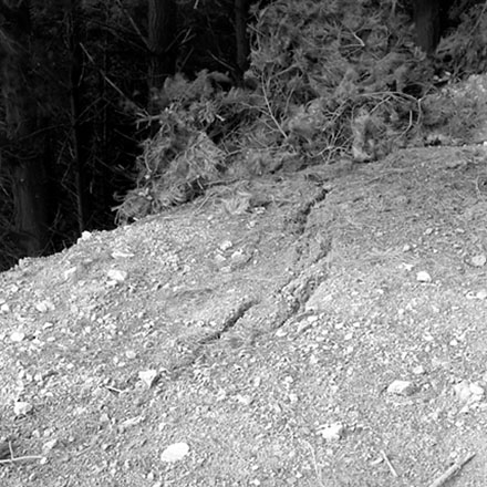 m. Storm damage, Ridgeway subdivision