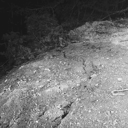 n. Storm damage, Ridgeway subdivision