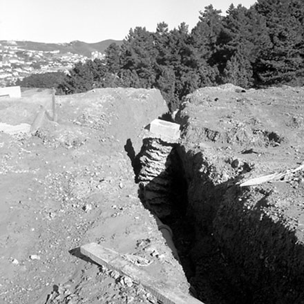 p. Storm damage, Ridgeway subdivision