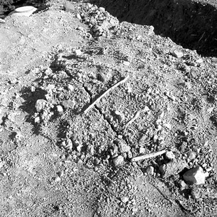 q. Storm damage, Ridgeway subdivision