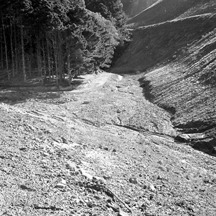 r. Storm damage, Ridgeway subdivision