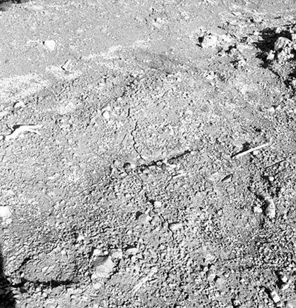 t. Storm damage, Ridgeway subdivision