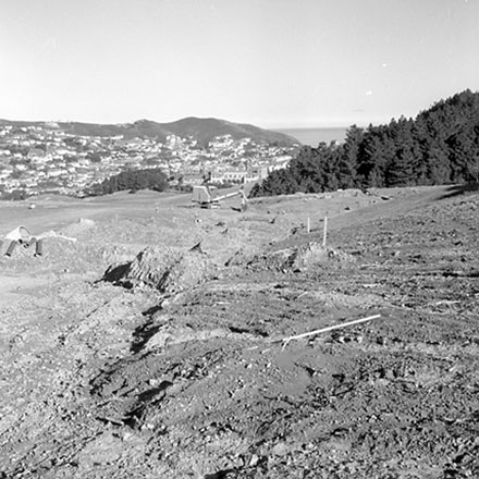 w. Storm damage, Ridgeway subdivision